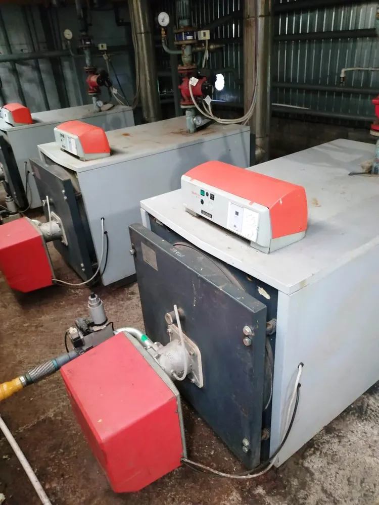 Теплицы Ленинградская область Волосовский район