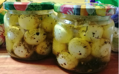 Сыр из цельного козьего молока в оливковом масле с доставкой на дом