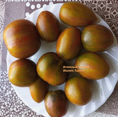 Томат Атомный синтез (Atomic fusion), США