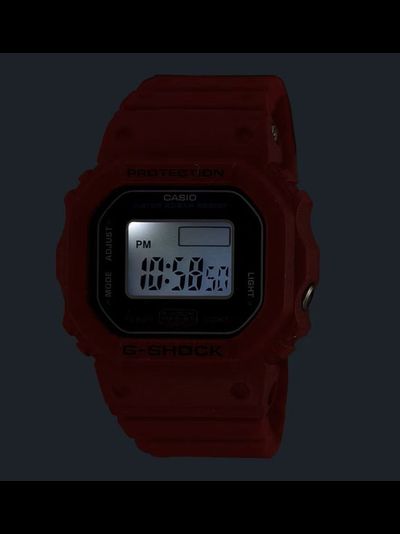 Часы Casio G-Shock DWN-5600-4
