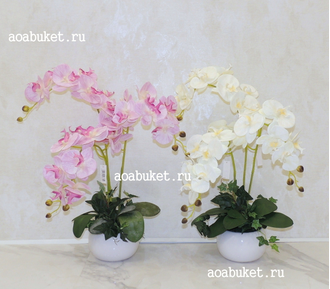 Композиция орхидея белая три ветки № ОР021
