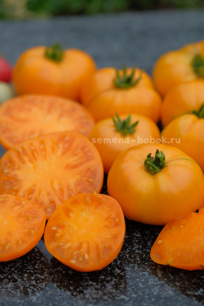 Томат Dwarf Loxton Lad (Гном Парень из Локстона), 10 шт