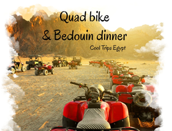 Quad bike safari and Bedouin dinner