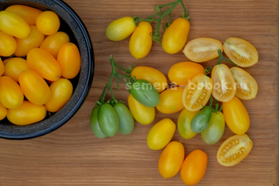 Томат Golden Pear Drop (Ампельная Золотая Груша), 10 шт