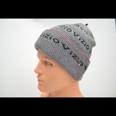 Шапка Vizio 1685 CRY мужская серая
