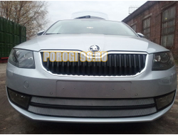 Защита радиатора Skoda Octavia А7 (Ambition, Elegance, Style) 2013-2017 chrome