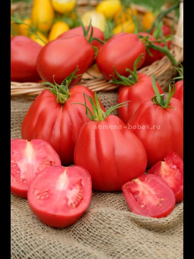 Томат Тюрбан Магриба, 10 шт