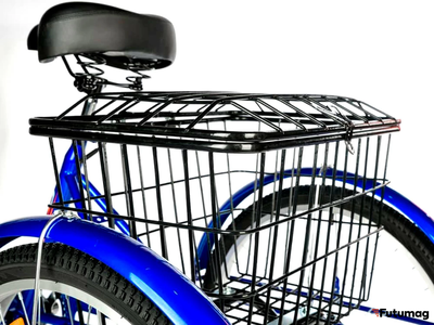 Электровелосипед трицикл РВЗ Чемпион (RVZ-HZ-01) черный