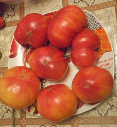 Томат Грейпфрут