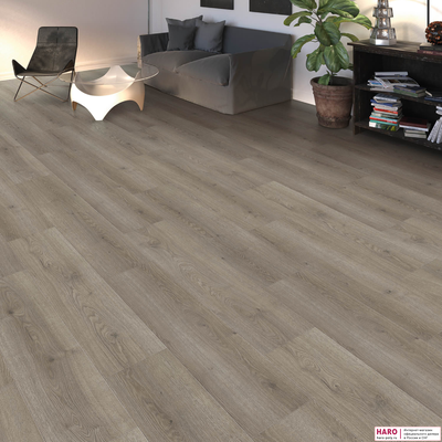 Ламинат Haro Дуб Флавия Серый 544754  в интерьере гостиной