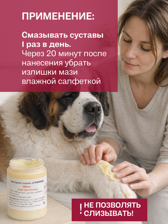 МАЗЬ ДЛЯ СУСТАВОВ ДЛЯ СОБАК, 100 ГР.