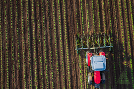 Вырубка леса под сельское хозяйство
