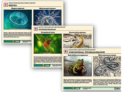 Комплект таблиц раздаточных "Ядовитые животные"