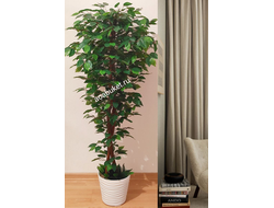 Искусственное дерево Бенджамин Зелёный Д002 для интерьера прекрасного качества в классическом стиле