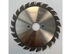 Подрезная пила  для форматно-раскроечных станков Ø120 х 22 х 2,8-3,6 Z = 12 + 12 WoodTec, от