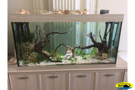 Аквариум с корягами