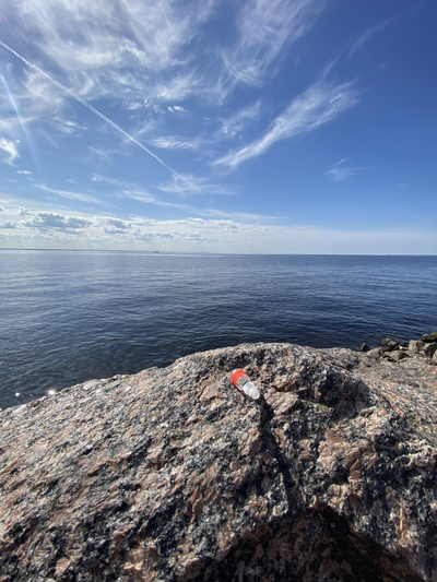 Масло НОТА: ЖЕНСКОЕ ПРИСУТСТВИЕ, 2.5 мл