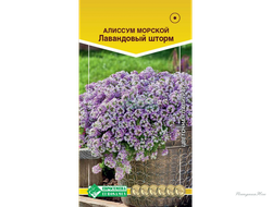 Алиссум морской ЛАВАНДОВЫЙ ШТОРМ (0,1 гр)
