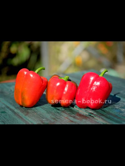 Перец сладкий Калифорнийское Чудо, 10 шт