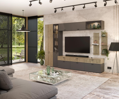 Гостиная СТЕЛЛА Серый Оникс/Гикори Джексон светлый