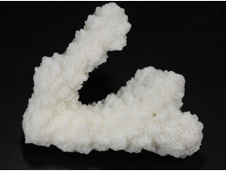 Коралл белый, коллекционный образец, Китай (52*40*33 мм, 23 г) №37698