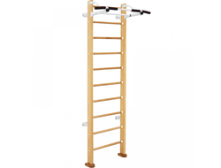 Шведская стенка KARUSSELL Dolf купить в Воронеже