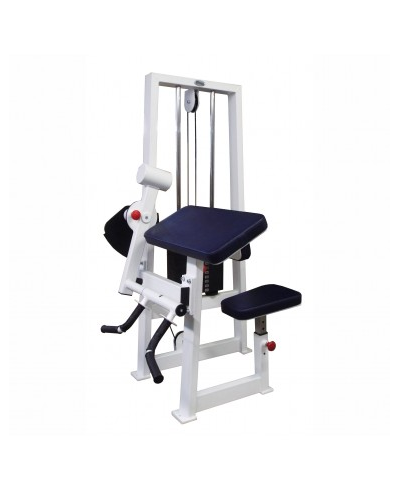 Бицепс-трицепс машина 2 в 1 60 кг AV248/80