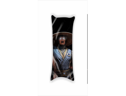 Дакимакура Мортал Комбат, Mortal Kombat №38