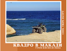 КВАДРОСАФАРИ В МАКАДИ (УТРО/ ПОСЛЕ ОБЕДА)