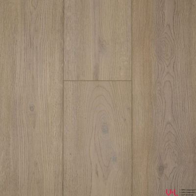 Кварцвиниловая плитка Damy Floor Family LVT Дуб Натуральный / Natural Oak 6607-9