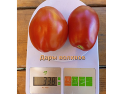 Томат Дары волхвов
