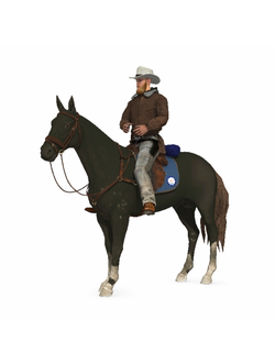 солдаты Ковбой на лошади Cowboy 1