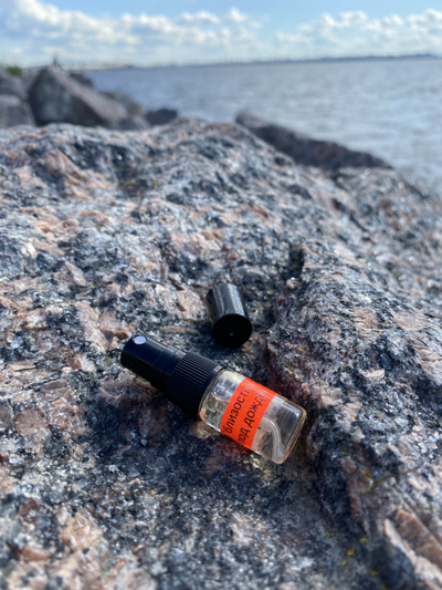 Духи НОТА: БЛИЗОСТЬ В РОЩЕ ПОД ДОЖДЁМ, 2.5 мл