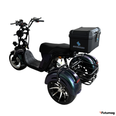 Электроскутер Skyboard MyRussia BR60 3000W