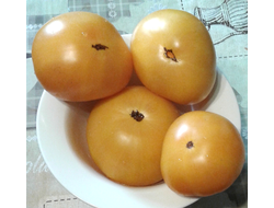 Семена томата Желтая гора Бэрна