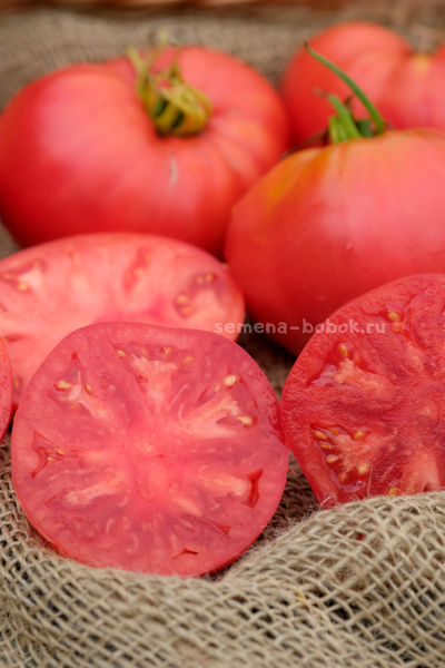 Томат Минусинский Низкий, 10 шт