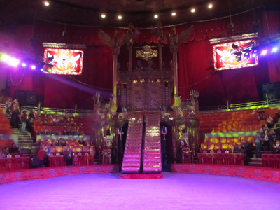 28 декабря – Брянск - цирк Аскольда Запашного - спектакль «Стойкий оловянный солдатик» + магазин Карачевской фабрики елочных игрушек + место сюрприз.