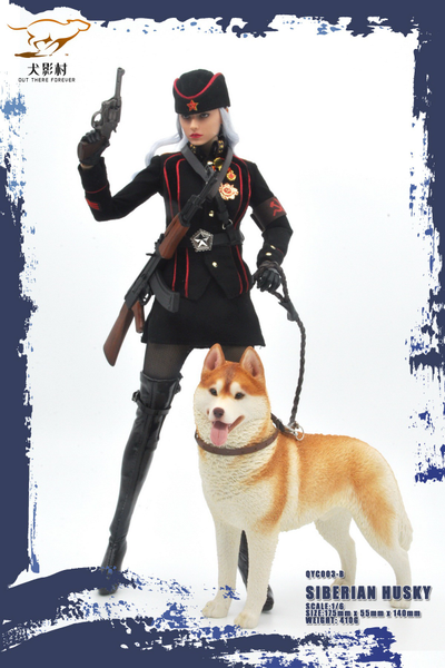Сибирская хаски (рыжая) - Коллекционная ФИГУРКА 1/6 scale Husky (QYC003B) - QuanYingCun