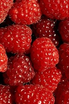 Raspberry  Melange (Natural) Robertet / Малина меланж