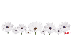 SP-232 Глянцевая стеновая панель ALBICO  2800*610*6мм.