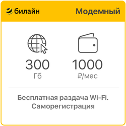 Билайн Модемный 300 Гб