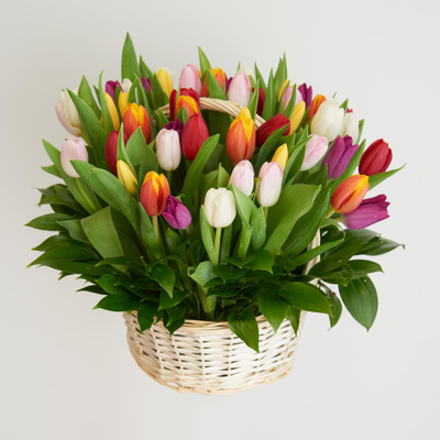 Корзина ярких тюльпанов