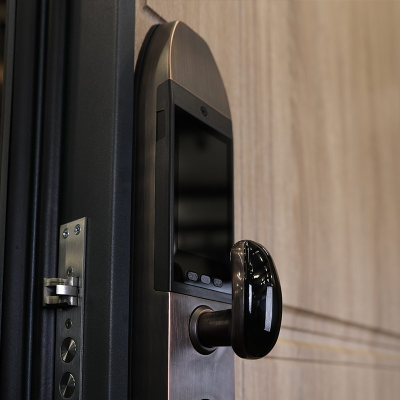 Стальная дверь   Фиджи. Заказная модель.