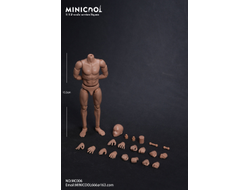 Мужское тело с фиксированной шеей - Коллекционная фигурка 1/12 scale 6-inch action figure male body (MC006) - MINI COOL