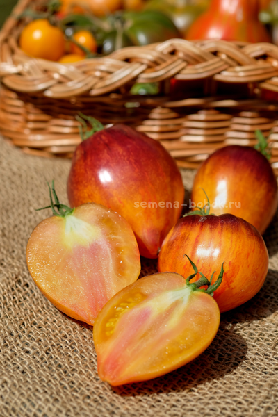 Томат Очень Сладкий Блюз, 10 шт