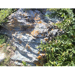 Валун хвойничек ландшафтный