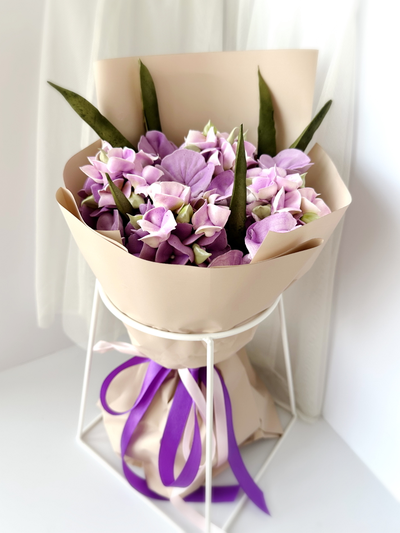 Пурпурная гортензия