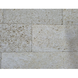 Дербентский ракушечник белый