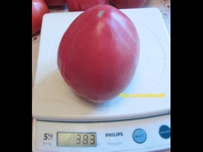 Томат Яша югославский (Yasha Yugoslavian)