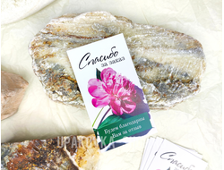 Открытка односторонняя 5*9 см "Спасибо за заказ" пион